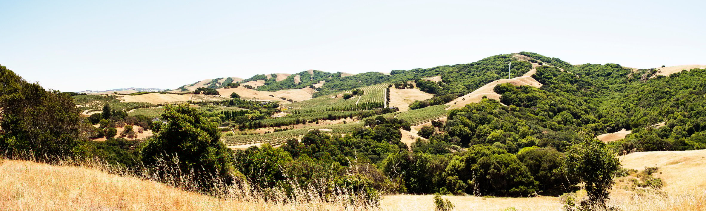 Panorama of Petaluma Valley